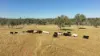 'Boomer' Rookwood Road, Gogango QLD 4702-Image