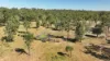'Boomer' Rookwood Road, Gogango QLD 4702-Image
