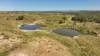'Boomer' Rookwood Road, Gogango QLD 4702-Image