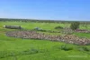 * Borrona Downs Station, Broken Hill, NSW 2880-Image