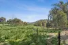 " Brooklyn Macintyre Aggregation ", Warwick, Qld 4370-Image