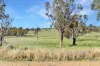 " Brooklyn Macintyre Aggregation ", Warwick, Qld 4370-Image