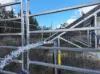 " Brooklyn Macintyre Aggregation ", Warwick, Qld 4370-Image