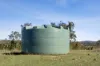 " Brooklyn Macintyre Aggregation ", Warwick, Qld 4370-Image
