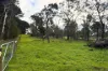 CA 18B Kentbruck Road, Heywood, Vic 3304-Image
