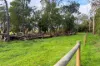 CA 18B Kentbruck Road, Heywood, Vic 3304-Image