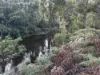 . Calder Road, Calder, Tas 7325