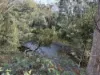 . Calder Road, Calder, Tas 7325-Image