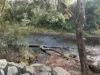 . Calder Road, Calder, Tas 7325-Image