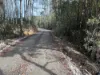 . Calder Road, Calder, Tas 7325-Image