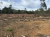 . Calder Road, Calder, Tas 7325-Image