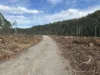 . Calder Road, Calder, Tas 7325-Image