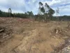 . Calder Road, Calder, Tas 7325-Image