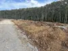 . Calder Road, Calder, Tas 7325-Image