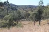 'Chapmans' Monto, Mount Perry QLD 4671-Image
