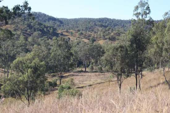 'Chapmans' Monto, Mount Perry QLD 4671-Image