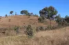 'Chapmans' Monto, Mount Perry QLD 4671-Image