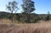 'Chapmans' Monto, Mount Perry QLD 4671-Image