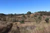'Chapmans' Monto, Mount Perry QLD 4671-Image