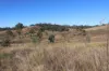 'Chapmans' Monto, Mount Perry QLD 4671-Image