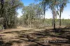 Chiltern- Barnawartha Road, Chiltern, Vic 3683-Image