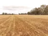 Cnr O'Keefe Road, Boorhaman, Vic 3678-Image