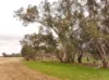 Cnr O'Keefe Road, Boorhaman, Vic 3678-Image