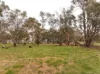 Cnr O'Keefe Road, Boorhaman, Vic 3678-Image