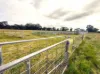 Cnr O'Keefe Road, Boorhaman, Vic 3678-Image