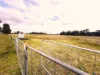 Cnr O'Keefe Road, Boorhaman, Vic 3678-Image