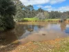Cnr. Rose Lane & St Arnaud Road, Wedderburn, Vic 3518-Image