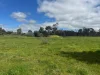 Cnr. Rose Lane & St Arnaud Road, Wedderburn, Vic 3518-Image
