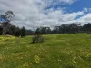 Cnr. Rose Lane & St Arnaud Road, Wedderburn, Vic 3518-Image