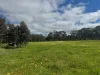 Cnr. Rose Lane & St Arnaud Road, Wedderburn, Vic 3518-Image