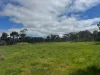 Cnr. Rose Lane & St Arnaud Road, Wedderburn, Vic 3518-Image