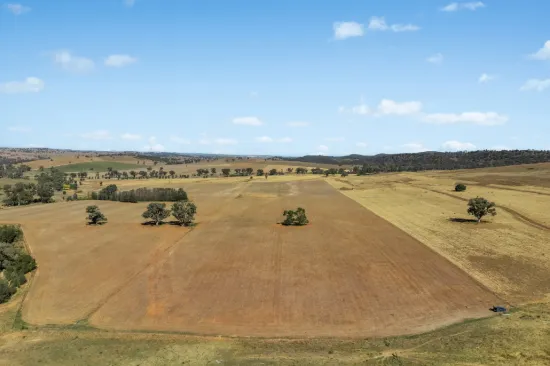 - Coates Creek Road, Manildra, NSW 2865
