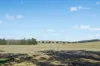 - Coates Creek Road, Manildra, NSW 2865-Image