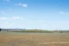- Coates Creek Road, Manildra, NSW 2865-Image