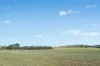 - Coates Creek Road, Manildra, NSW 2865-Image