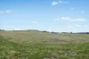 - Coates Creek Road, Manildra, NSW 2865-Image