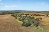 - Coates Creek Road, Manildra, NSW 2865-Image