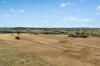 - Coates Creek Road, Manildra, NSW 2865-Image