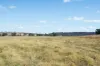 - Coates Creek Road, Manildra, NSW 2865-Image