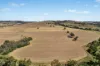 - Coates Creek Road, Manildra, NSW 2865-Image