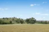 - Coates Creek Road, Manildra, NSW 2865-Image