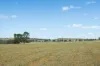 - Coates Creek Road, Manildra, NSW 2865-Image