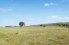 - Coates Creek Road, Manildra, NSW 2865-Image