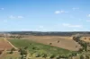 - Coates Creek Road, Manildra, NSW 2865-Image