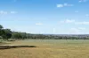 - Coates Creek Road, Manildra, NSW 2865-Image