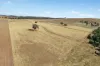 - Coates Creek Road, Manildra, NSW 2865-Image